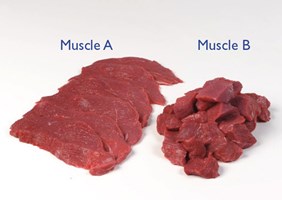 Thick Flank – seam cut - Mini Joints ‘Centre Cut’ Meat Cut Spec Step 5